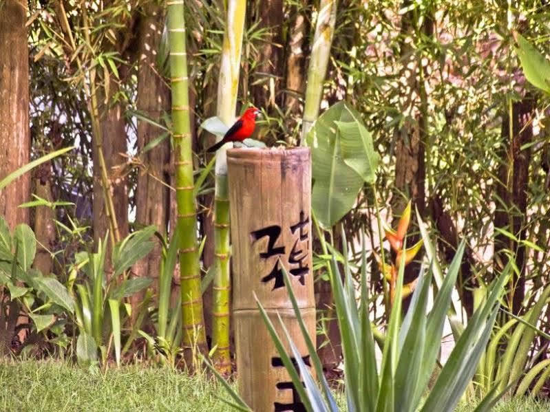 Pousada Bambu Итакаре Экстерьер фото